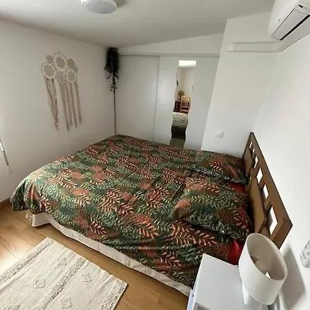 Apt Albi 2 Chambres Climatise Plein Centre Et Parking Exterior foto