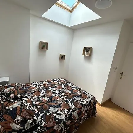 Apt Albi 2 Chambres Climatise Plein Centre Et Parking Exterior foto