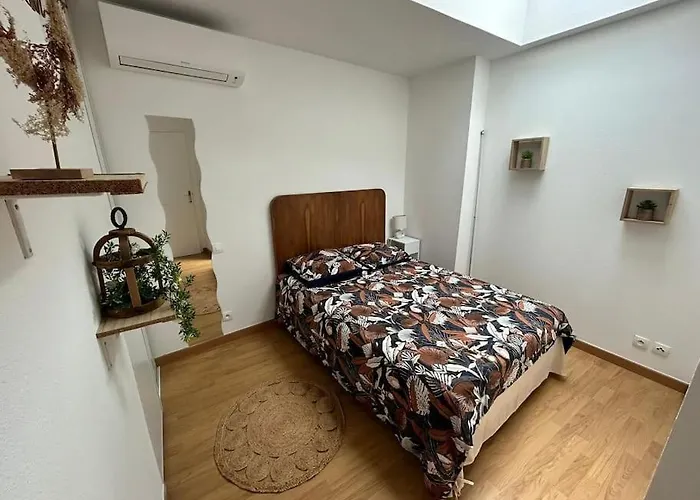 Apt Albi 2 Chambres Climatise Plein Centre Et Parking